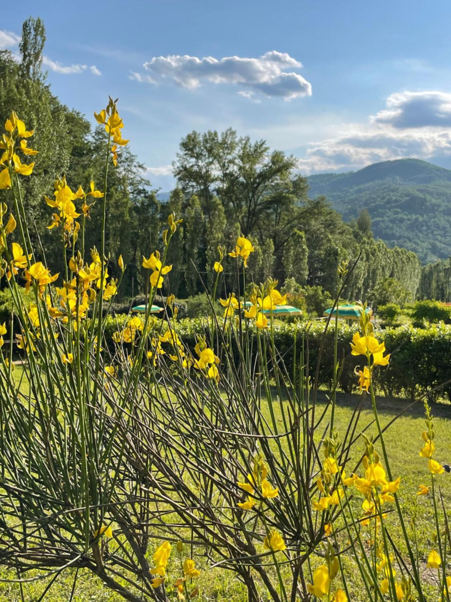 Cerqua Rosara Residence Valtopina Esterno foto