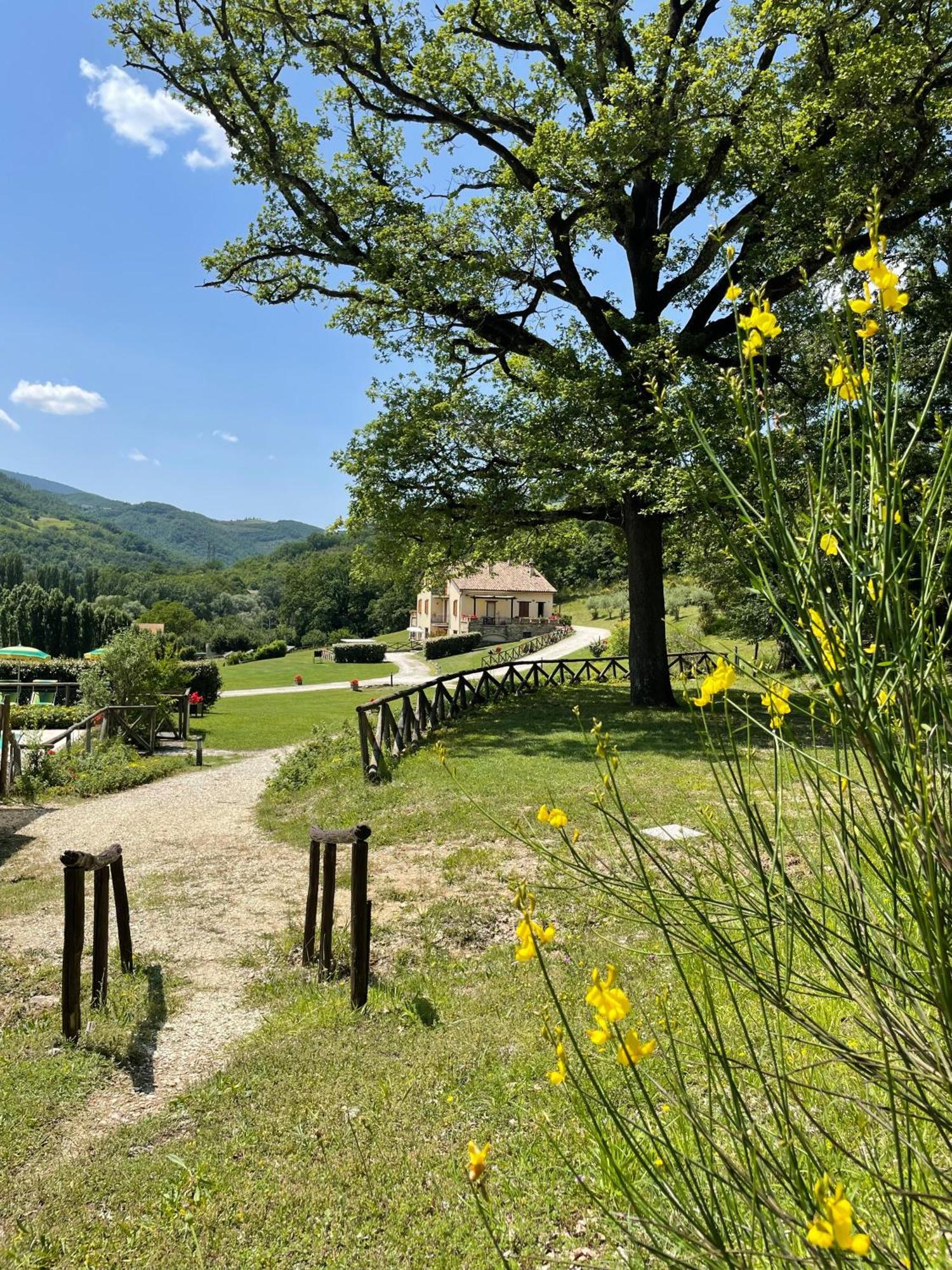 Cerqua Rosara Residence Valtopina Esterno foto